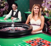 Enjoy the Roulette Lucky Numbers at Mr Green Casino